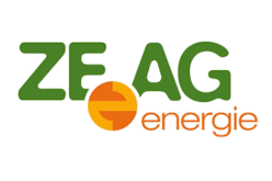 Concept development and profitability analysis for an area grid. ZEAG Energy AG, Heilbronn, Germany